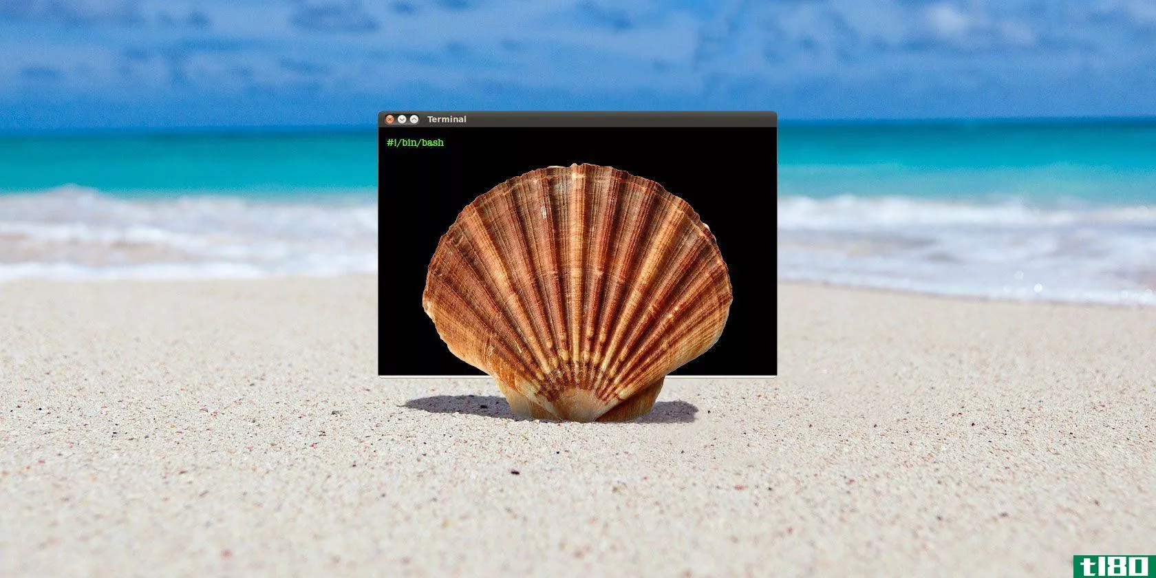 shell-scripting