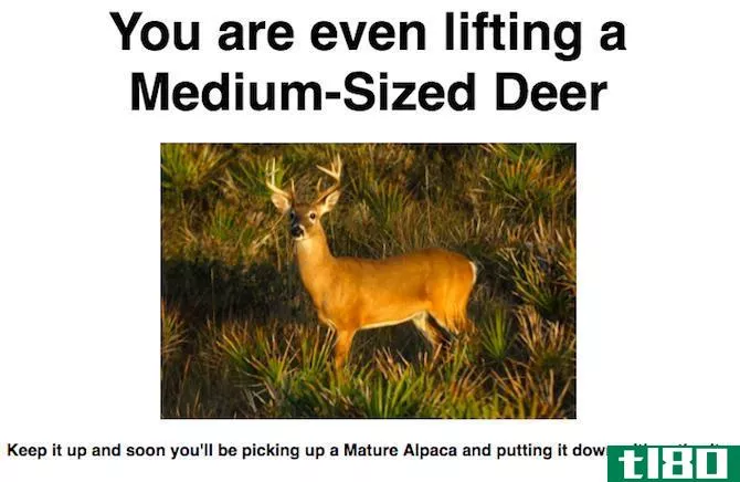 what animal do you lift