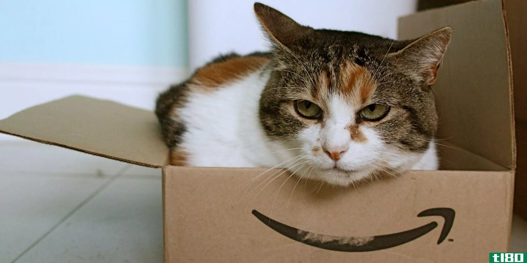 amazon-box-cat-2