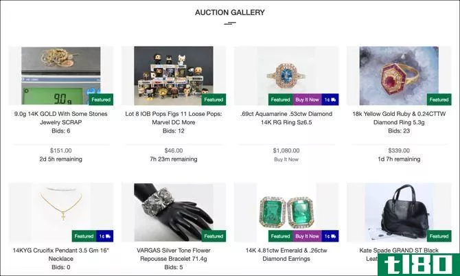 ShopGoodwill Auction Gallery