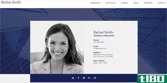 wix template the professional cv