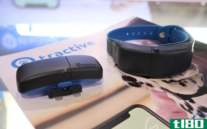 tractive pet wearable tracking