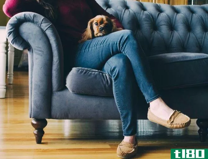 woman and dog sitting on couch