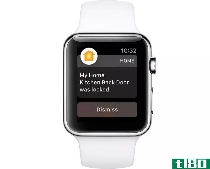 apple watch notificati***