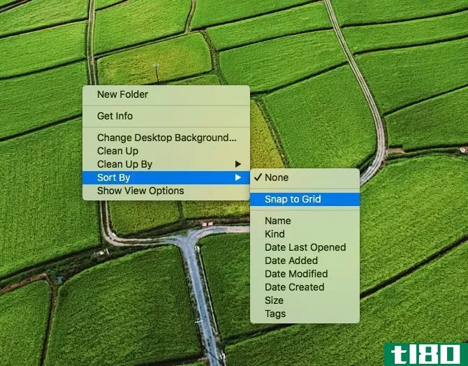 mac desktop clutter snap ic*** to grid