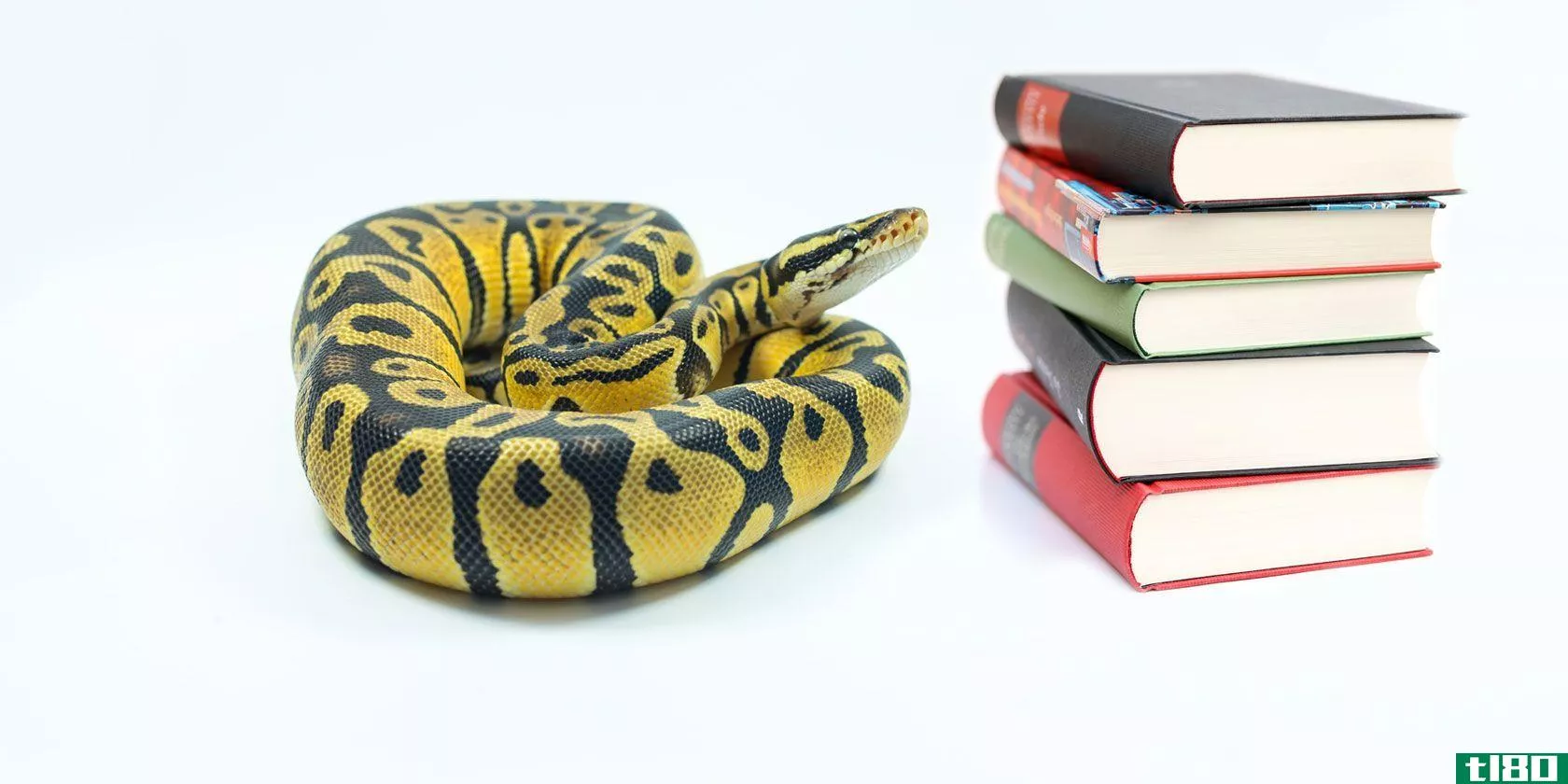 python-dictionary