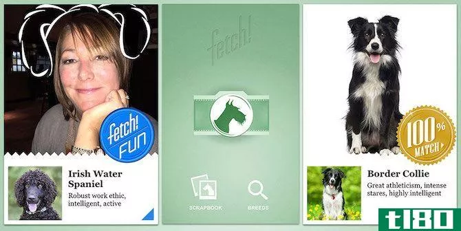 Microsoft Apps What Dog Fetch