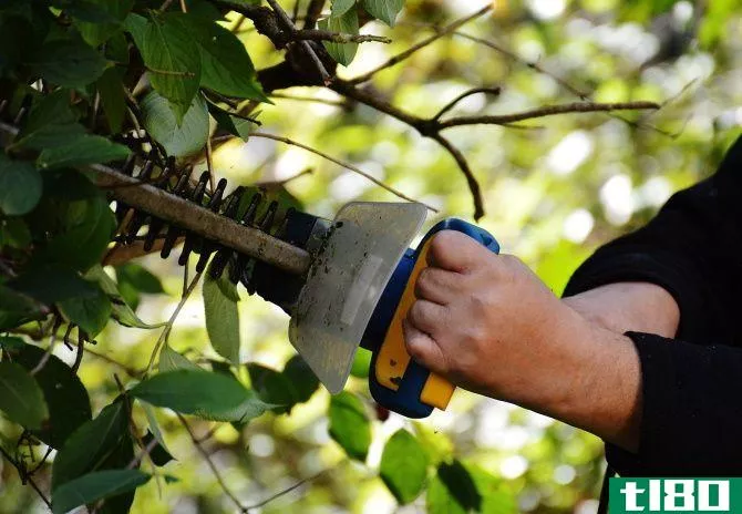 Smart Plugs can charge your garden tools in readiness for use