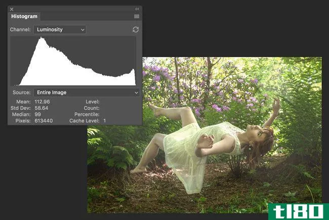 Histogram Overview of an Image