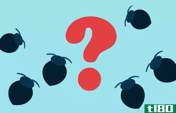 What Should I Do If I Find Bed Bugs?