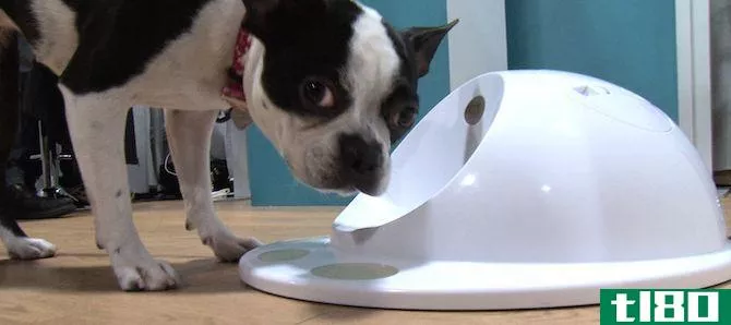 CleverPet Smart Food Bowl for Pets