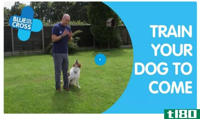 Blue Cross Free Dog Training Course Online