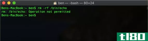 SIP Protection in Terminal