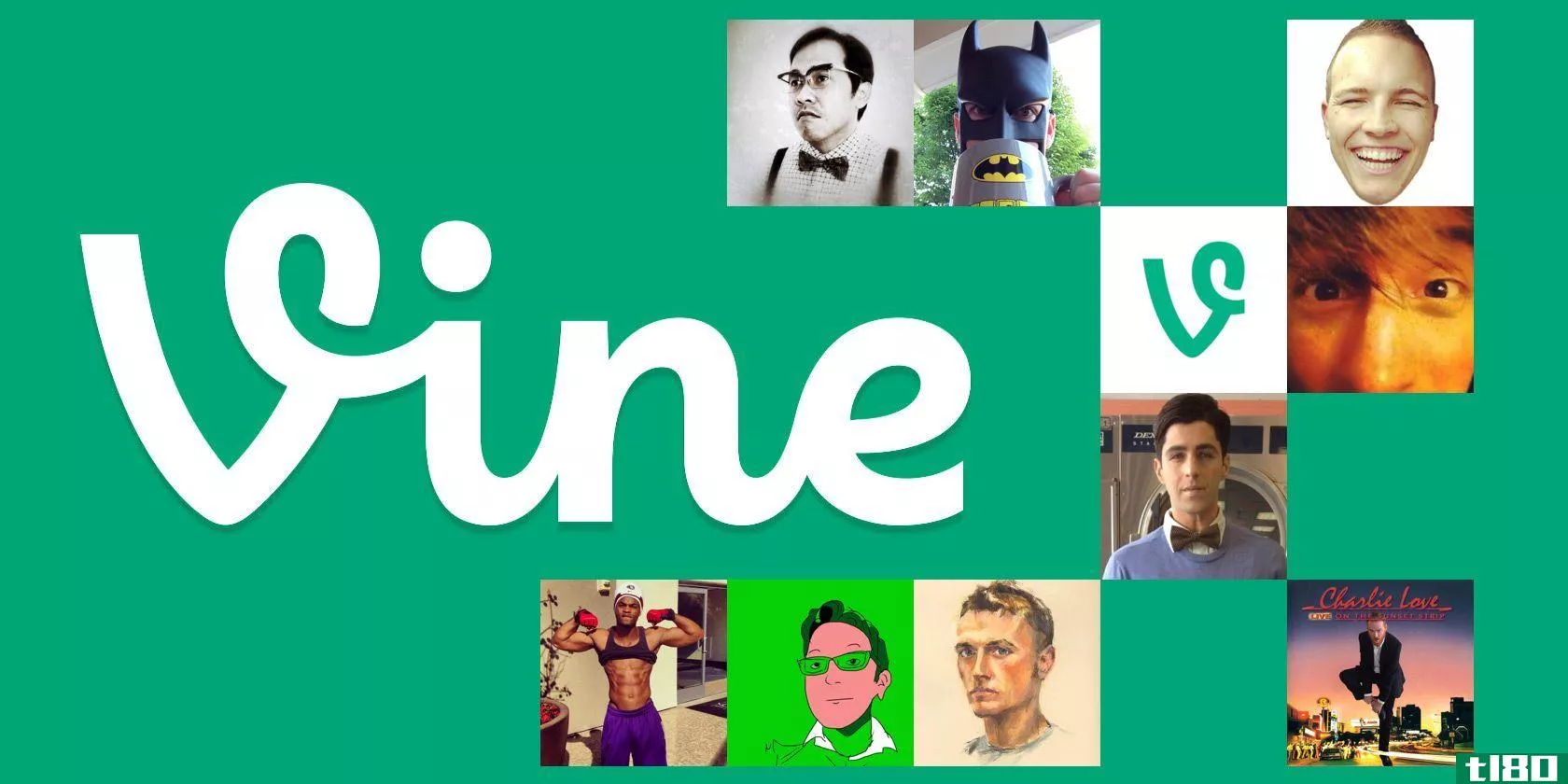 vine-users