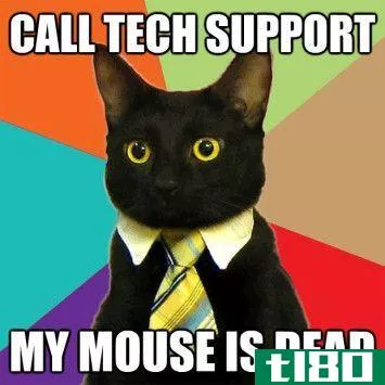 Business Cat Meme Tech Support