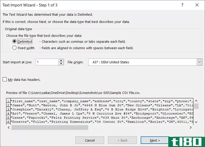 Choose Delimited File Type in the Microsoft Excel Text Import Wizard