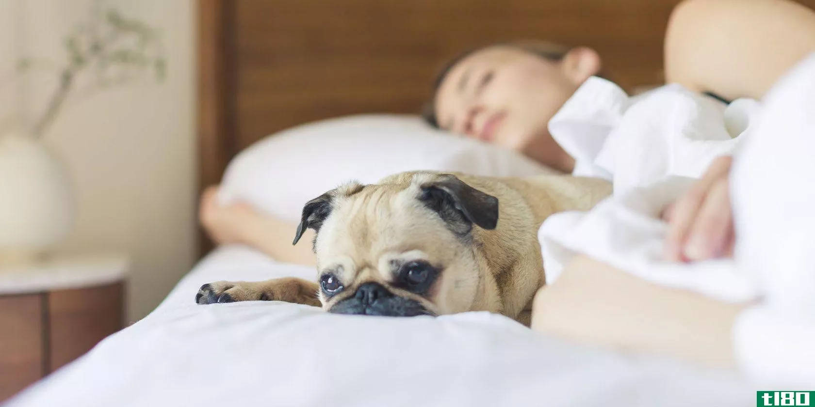 5款最佳睡眠应用程序和方法，让您在不受干扰的情况下更快入睡