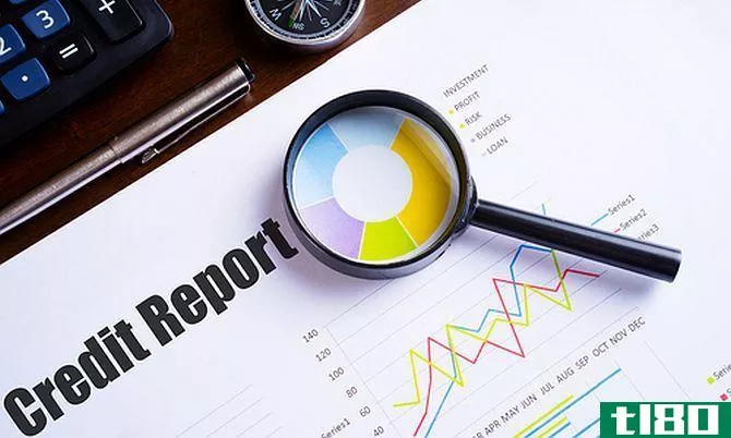 Credit Report Magnification and Analysis