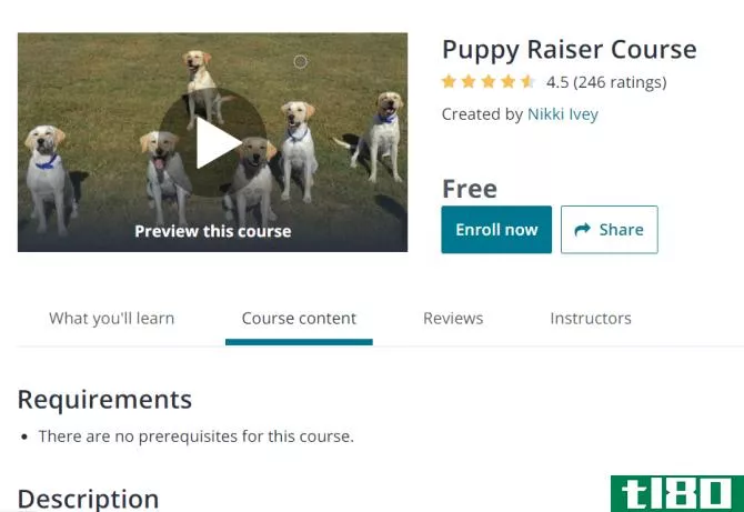 Puppy Raiser Course Free Dog Training