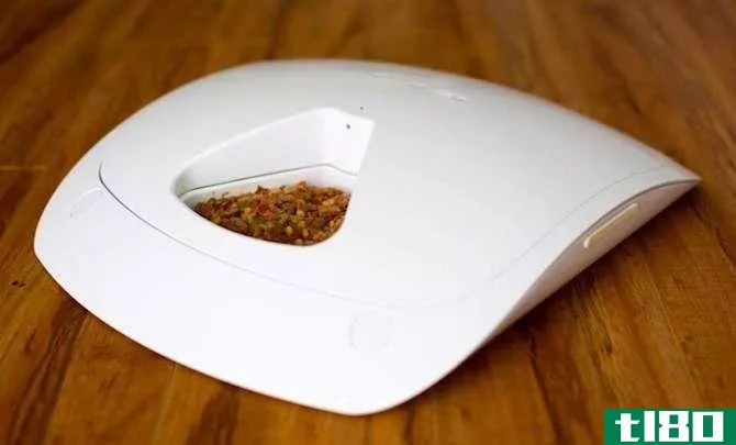 Feed and Go Pet Feeder