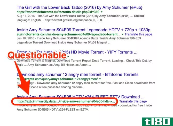 Amy Schumer Torrent URL