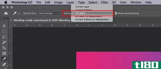 How to Create a Color Palette in Photoshop Sample All Layers