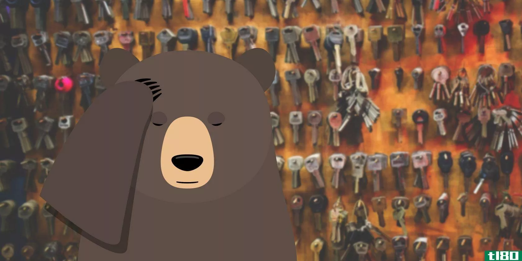 remembear-password-manager