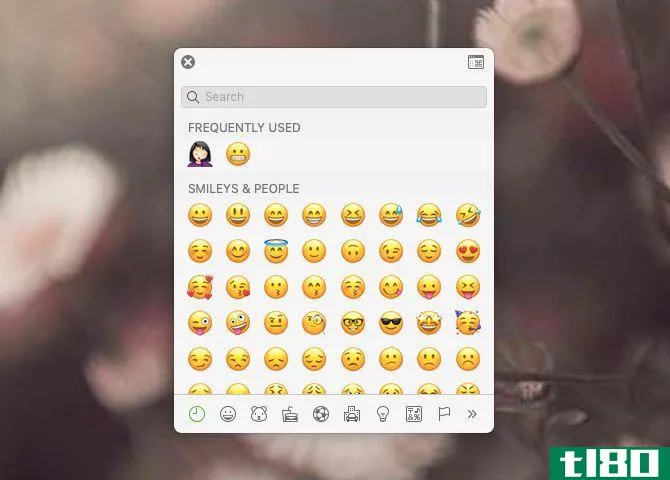 Emoji viewer popup pane on macOS