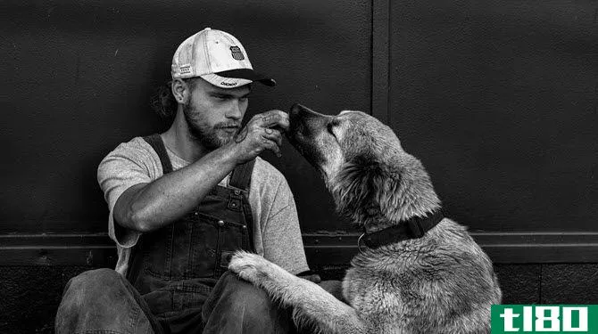 This is a picture of a guy feeding a dog