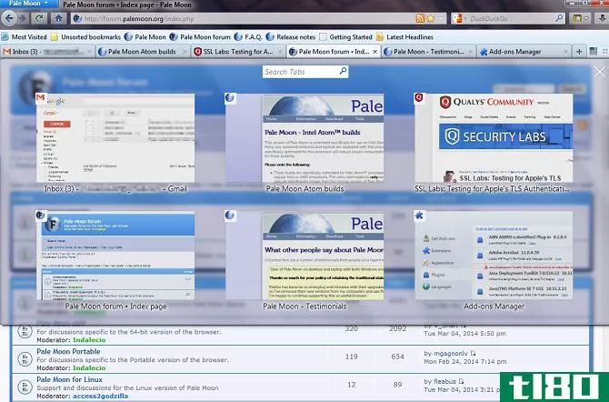 pale moon browser