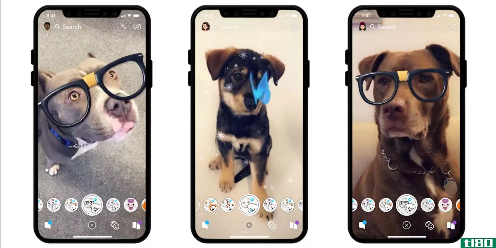 snapchat-lenses-for-dogs-2