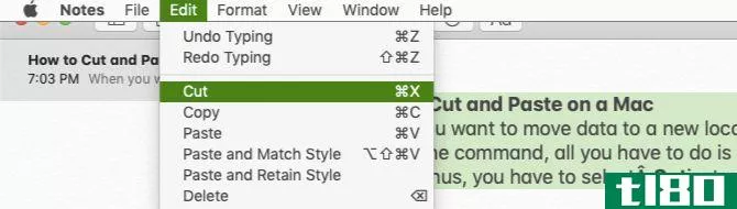 Cut option in Edit menu on Mac