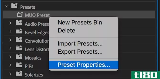 Premiere Pro preset properties menu