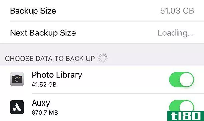 back up iphone - iCloud Backup items