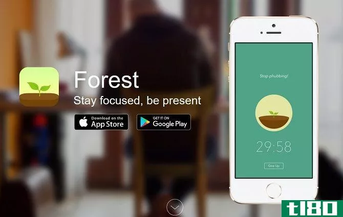 Forest App Website Screenshot