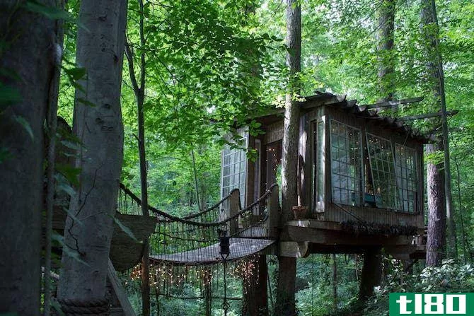 airbnb listing_treehouse masters