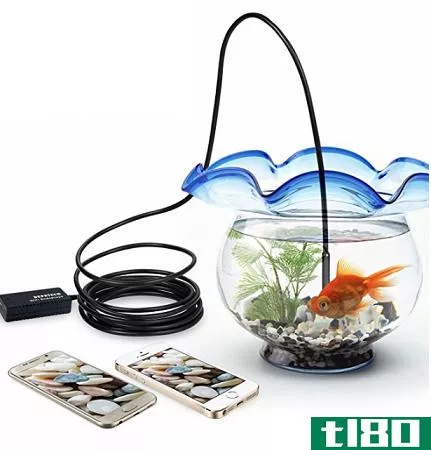 Depstech Wireless Endoscope in fish bowl