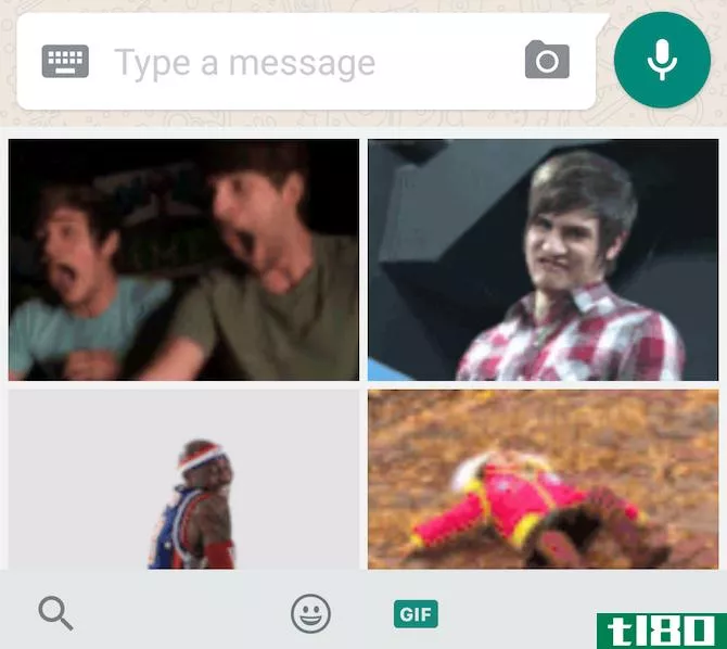 New WhatsApp feature: GIF search