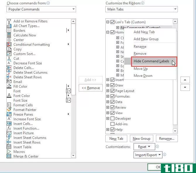 Select Hide Command Labels for the Excel ribbon on the Excel Opti*** dialog box