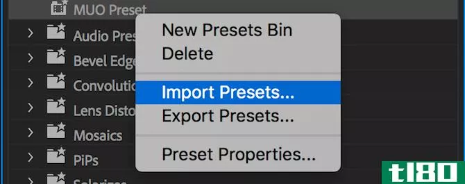 Premiere Pro import/export preset menu