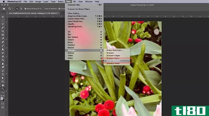 How to Sharpen Photos in Photoshop Filter Smart Sharpen