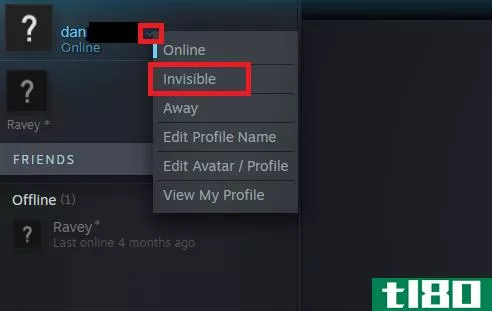 steam chat invisible