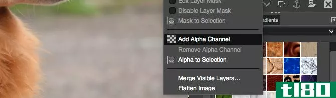 add alpha channel gimp