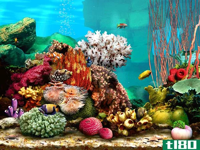 Living Marine Aquarium 2 screensaver