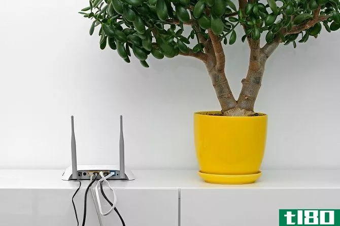 Wi-Fi Router Positioned Adjacent To Flower Pot