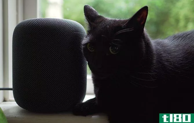 HomePod with Black Cat