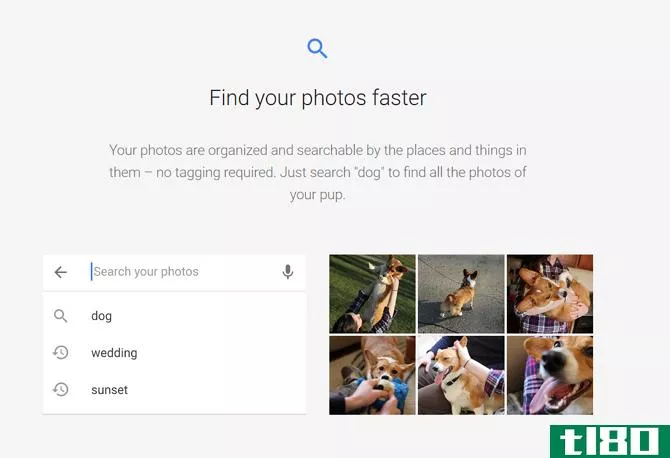 Screenshot Of The Google Photos Website Describing Photo Identification