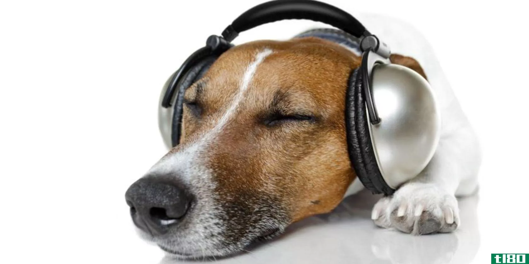 dog-wearing-headphones