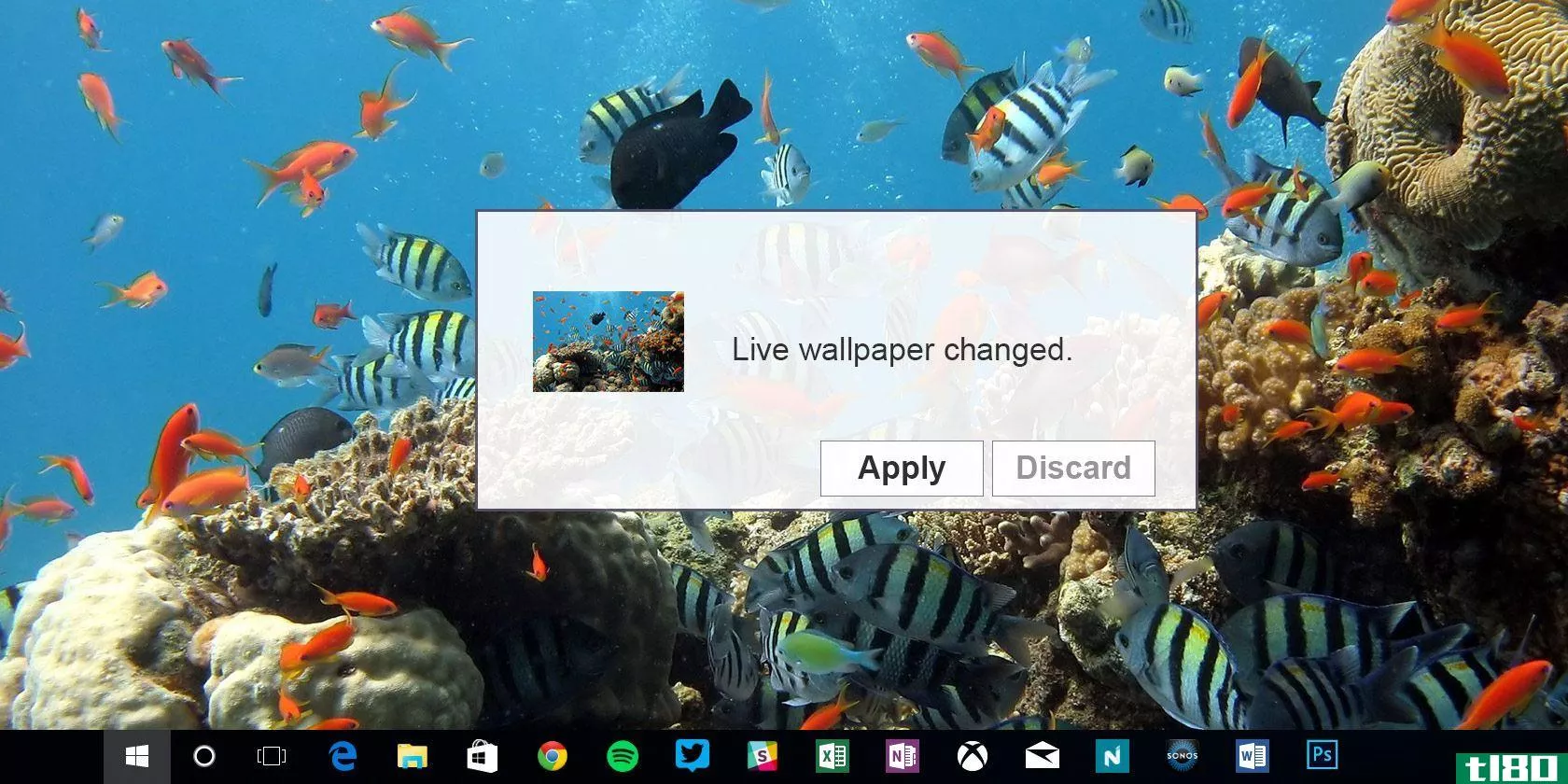 如何在Windows10中设置实时墙纸和动画桌面背景