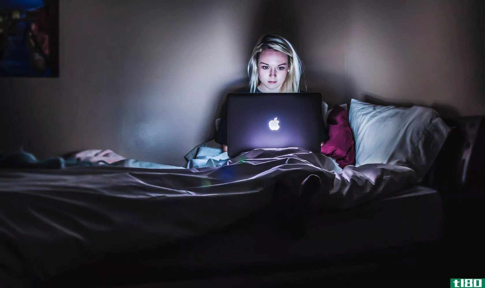 woman using laptop computer